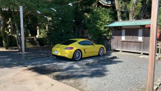 Thumbnail of post image 106