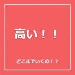 高い！！
