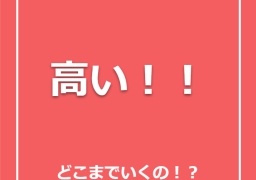 高い！！