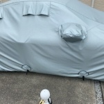 Thumbnail of post image 185